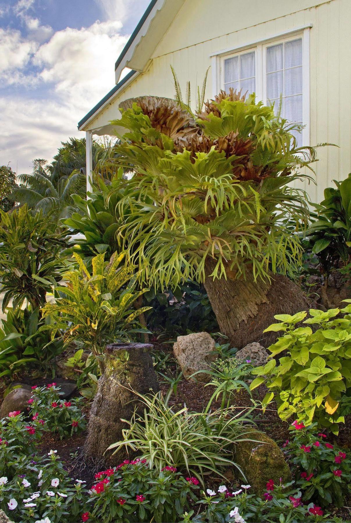 Hotel Castaway Norfolk Island Burnt Pine Exterior foto